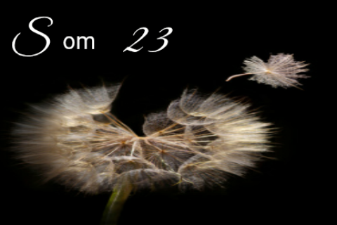 SOM 23